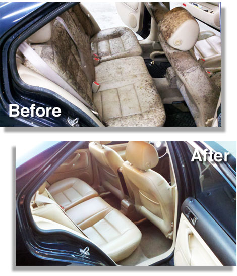 Car mold removal before and after comparison